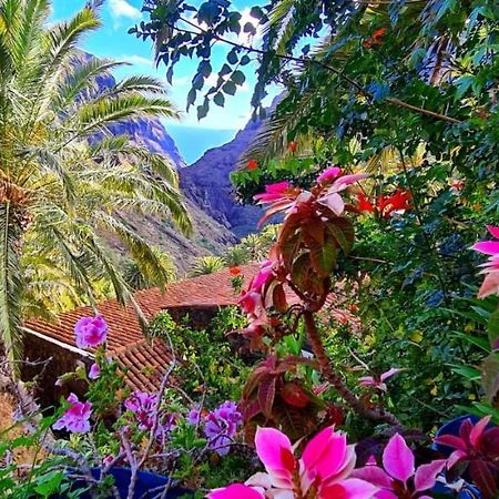Ocean View Tenerife San Miguel de Abona Dış mekan fotoğraf