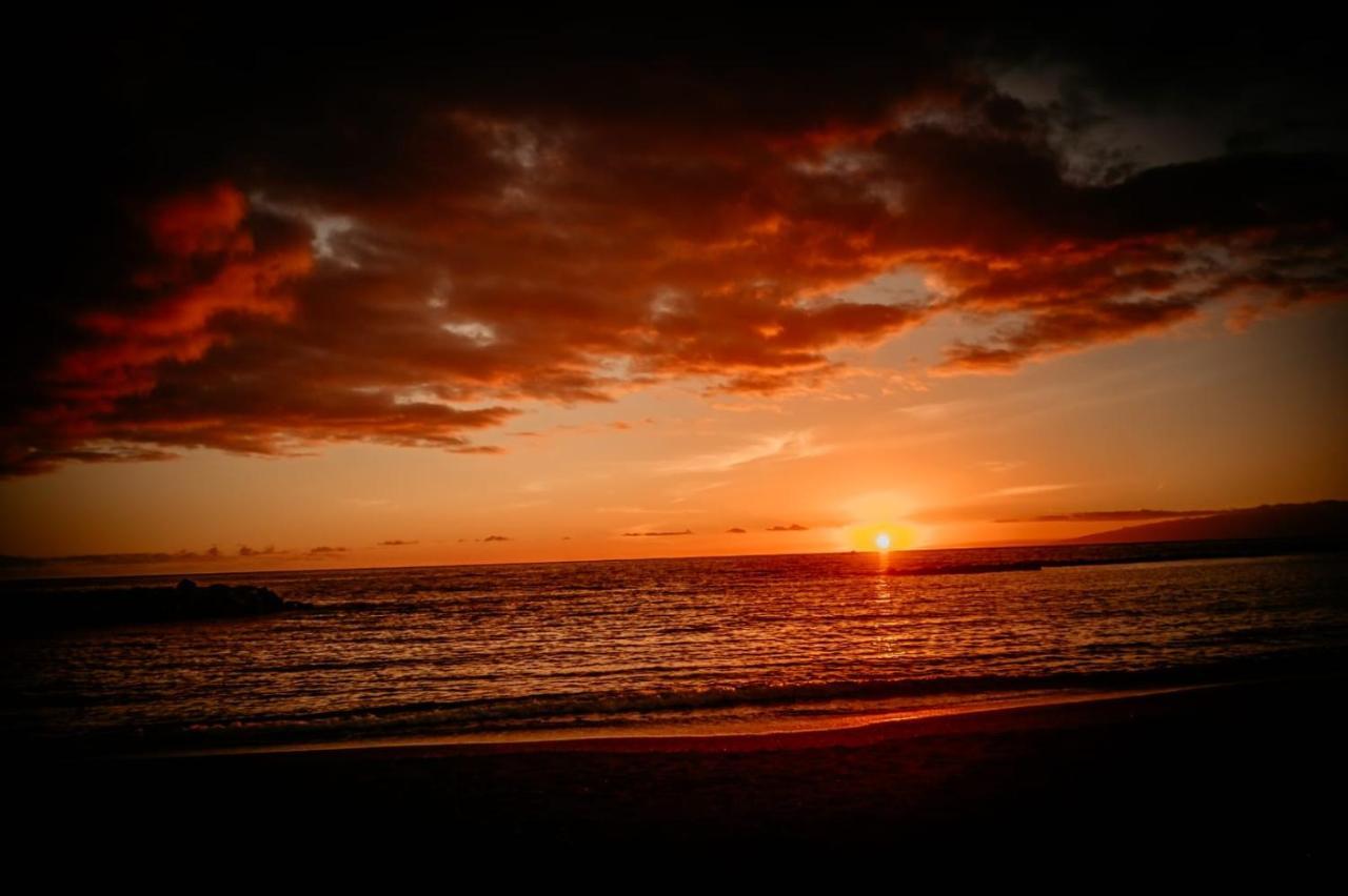 Ocean View Tenerife San Miguel de Abona Dış mekan fotoğraf